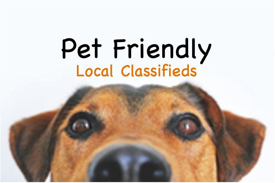 We would LOVE to Help you find a pet!